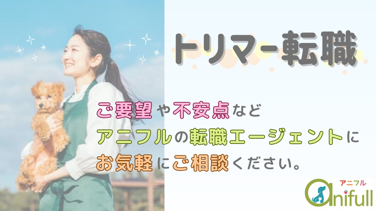 アニフルのトリマー転職 ご要望や不安点などアニフルの転職エージェントにお気軽にご相談ください